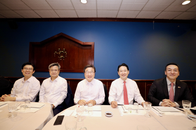 국민의힘 방미단