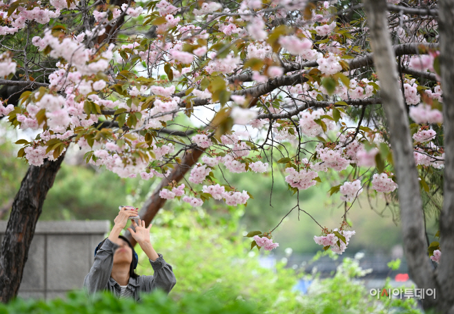제46회 장애인의 날 기념 '은평봄봄축제