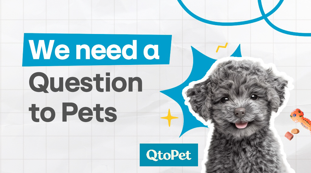 [첨부사진1]hy, 반려동물 토탈 케어 플랫폼 '큐토펫' 론칭