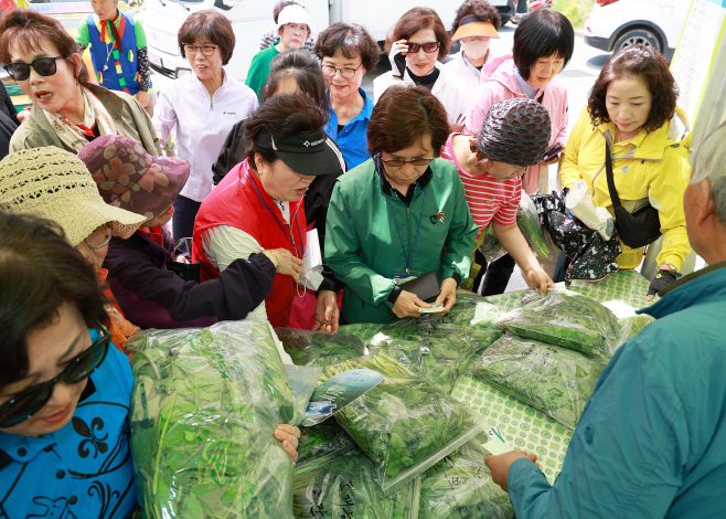 영양산나물축제