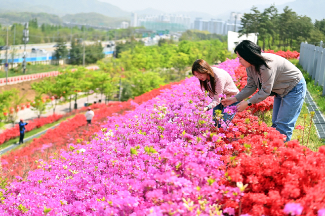 스크린샷 2026-04-21 135115