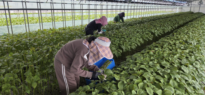 KakaoTalk_20260421_095811549