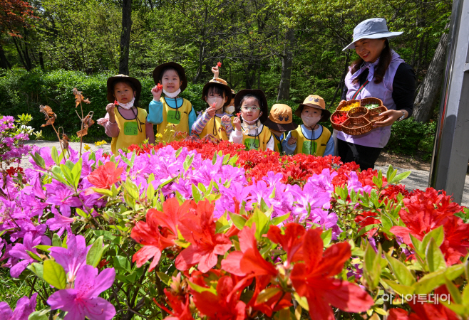 관악구 청룡산 유아숲체험장1