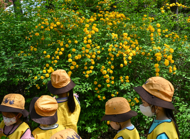 관악구 청룡산 유아숲체험장