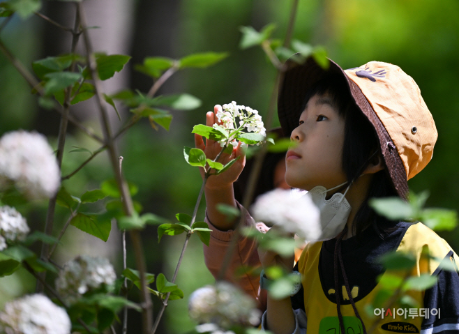 관악구 청룡산 유아숲체험장4