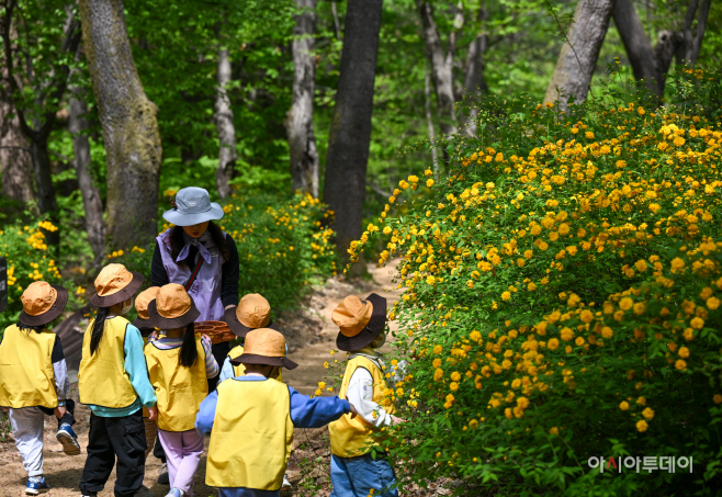 관악구 청룡산 유아숲체험장2