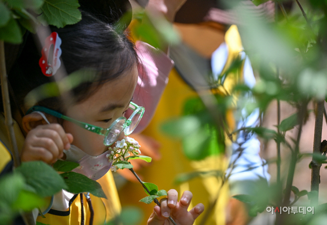관악구 청룡산 유아숲체험장5