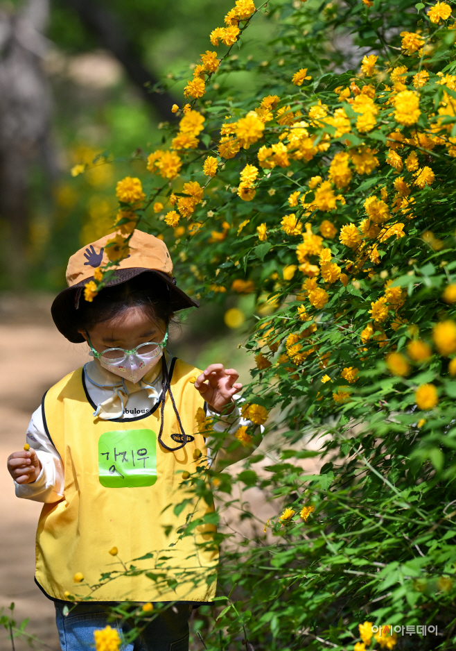 관악구 청룡산 유아숲체험장3