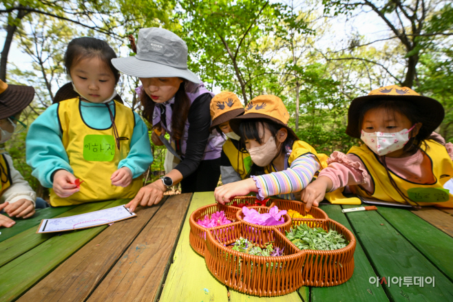 관악구 청룡산 유아숲체험장