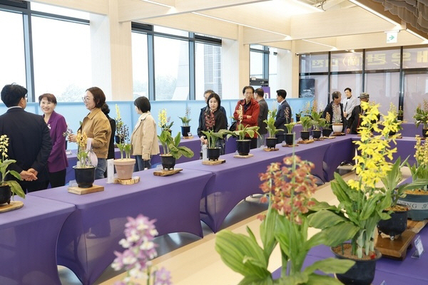 신안 새우란대전