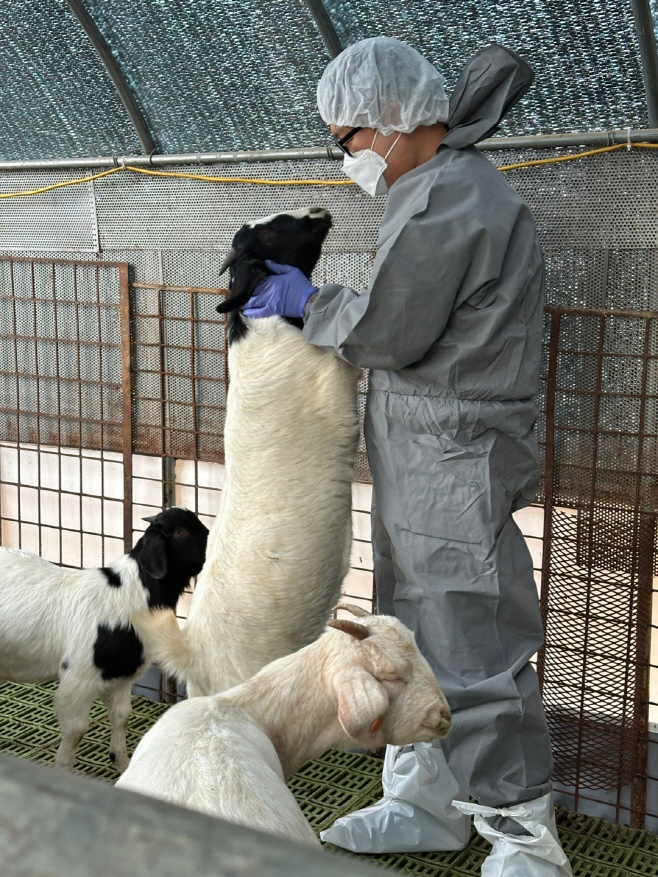 경기북부둉몰위생시험소_염소임상예찰