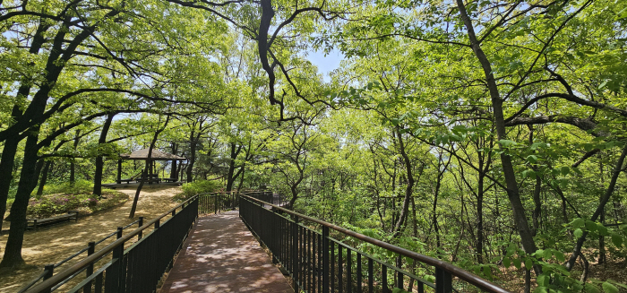 1-1. [도봉사진] 둘리(쌍문) 공원 꽃동네 어린이놀이터~서울형 키즈카페 구간 개통 후 모습
