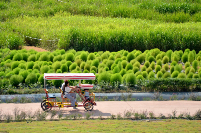 1-8 10월 황금연휴, 한탄강 가든 페스타에서 가을을 만끽하세요! (1)