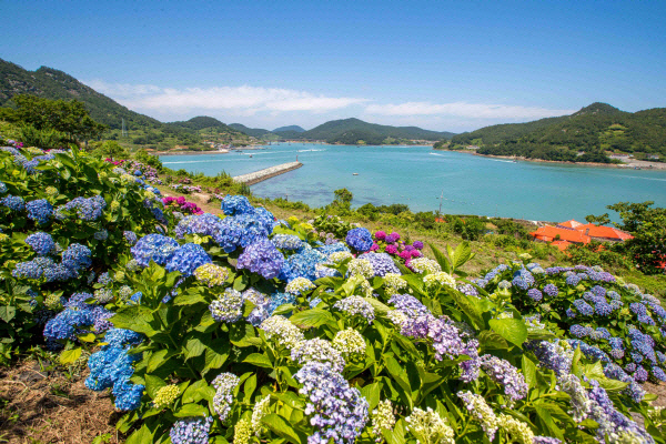 전남도