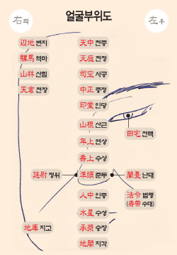 얼굴부위도