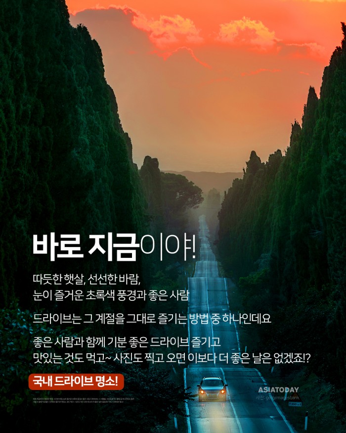 카드 뉴스 이미지