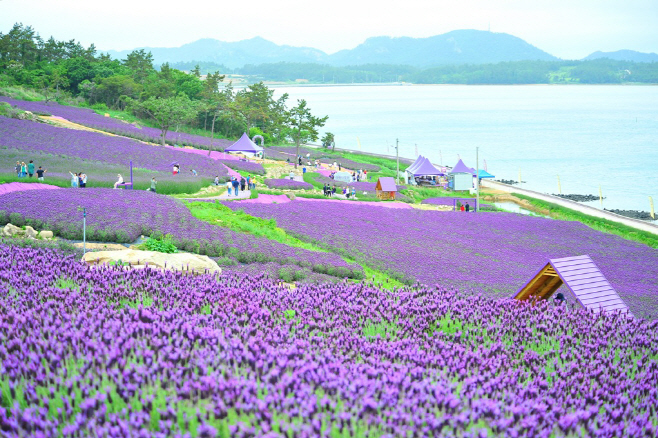 사진 (2) (4)