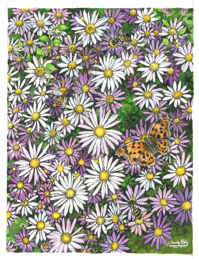 (83) 쑥부쟁이 그림