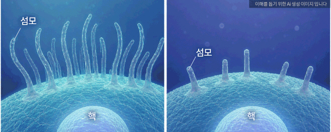 KakaoTalk_20260511_101232001_02