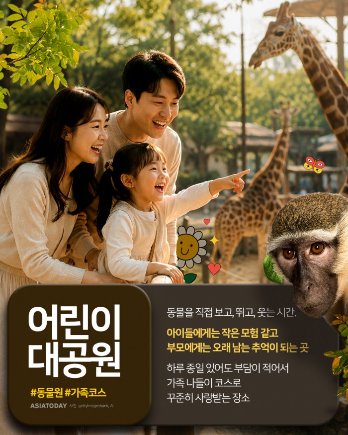 카드 뉴스 이미지