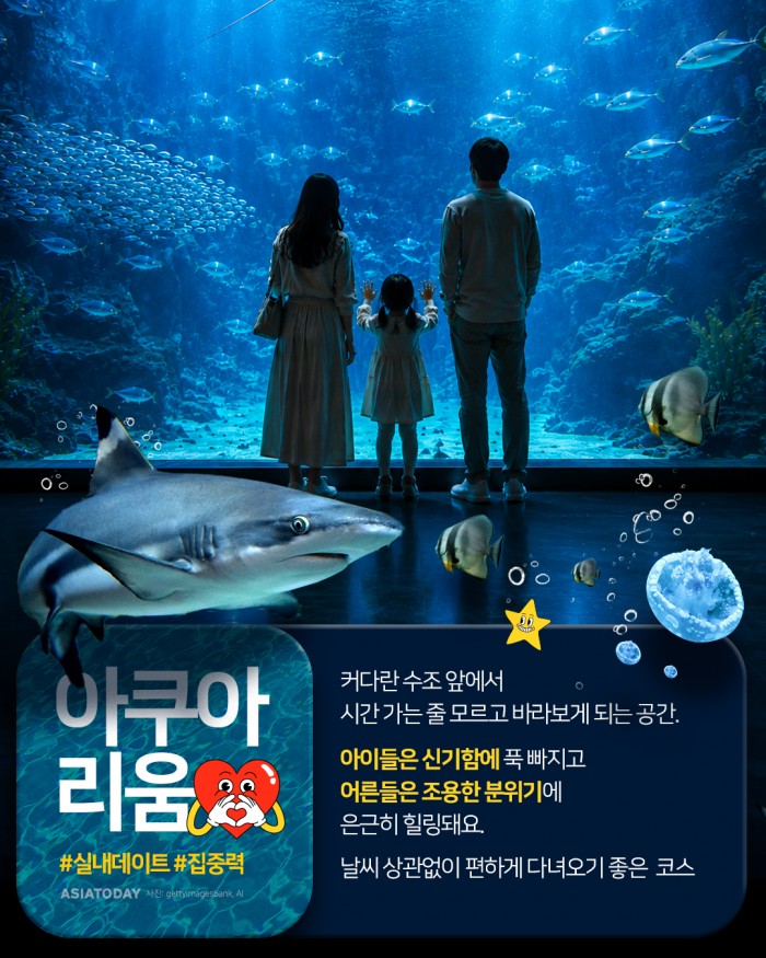 카드 뉴스 이미지
