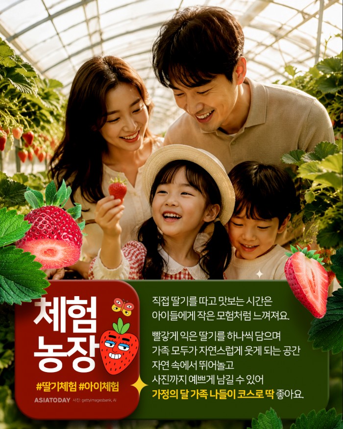 카드 뉴스 이미지