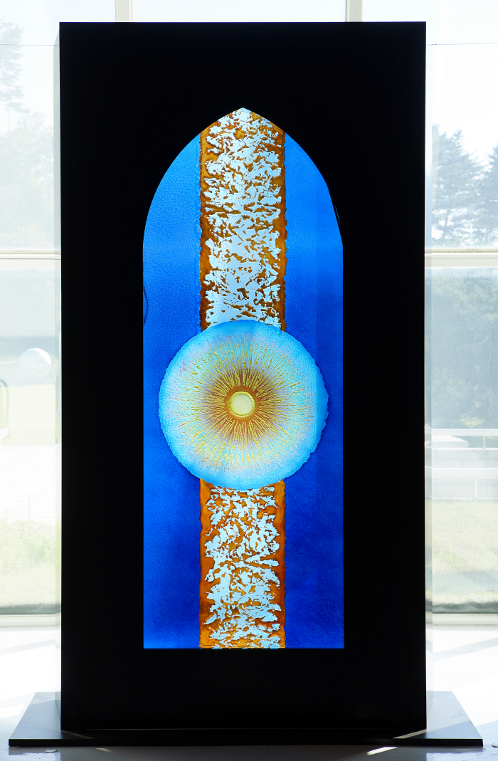 71. 〈빛의 탄생〉 2019