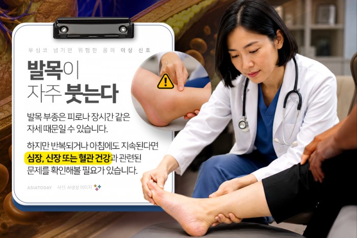 카드 뉴스 이미지
