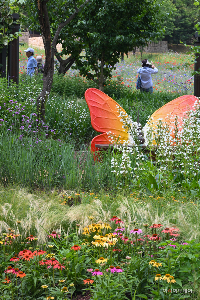 강동구, 파믹스가든 내 '바람결 약초정원' 조성7
