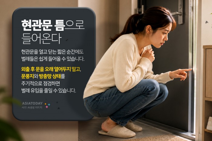 카드 뉴스 이미지