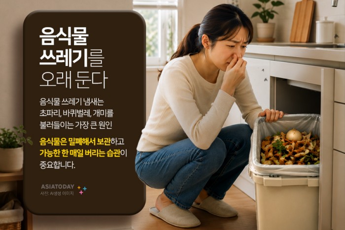 카드 뉴스 이미지
