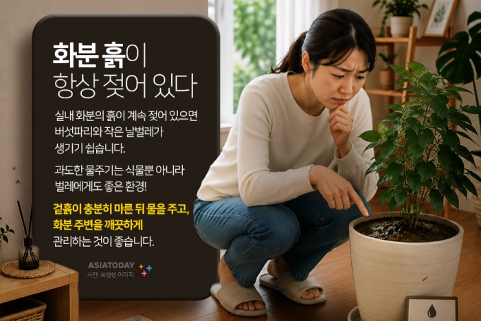 카드 뉴스 이미지