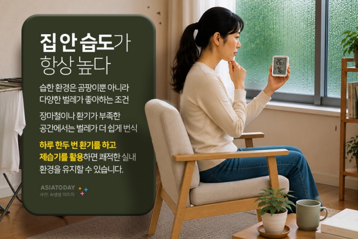 카드 뉴스 이미지