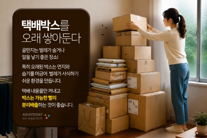 카드 뉴스 이미지