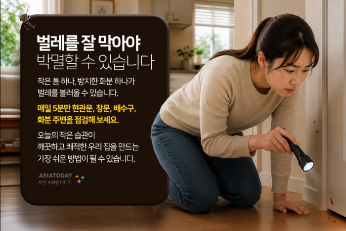 카드 뉴스 이미지