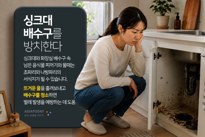 카드 뉴스 이미지