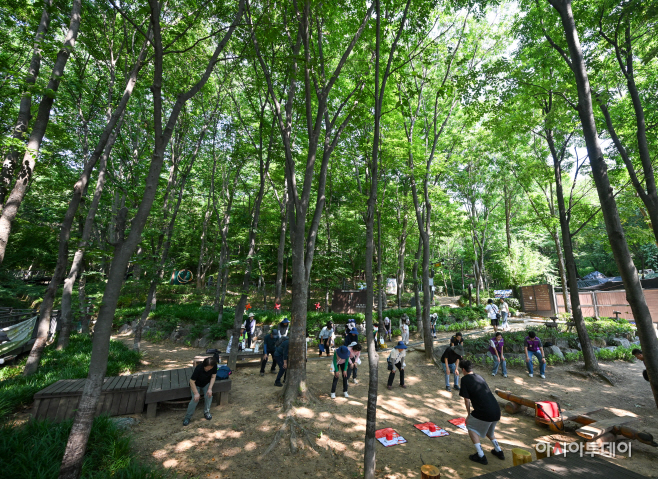 은평구 봉산무장애숲길 걷기