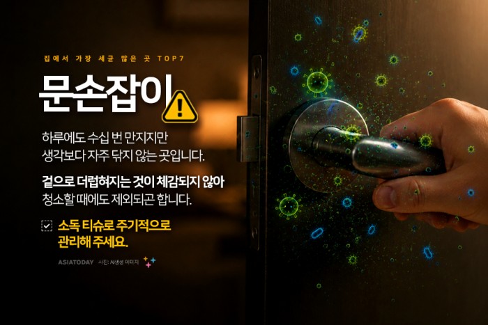 카드 뉴스 이미지