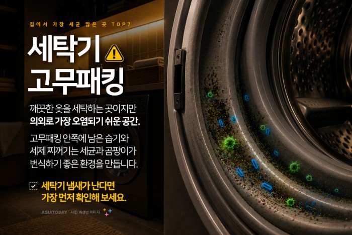 카드 뉴스 이미지