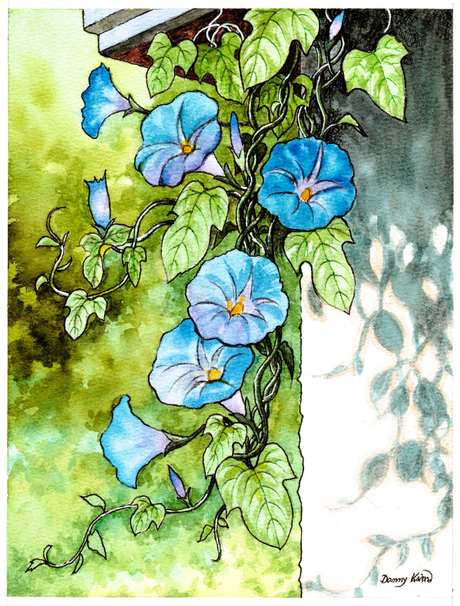 (91) 나팔꽃 그림