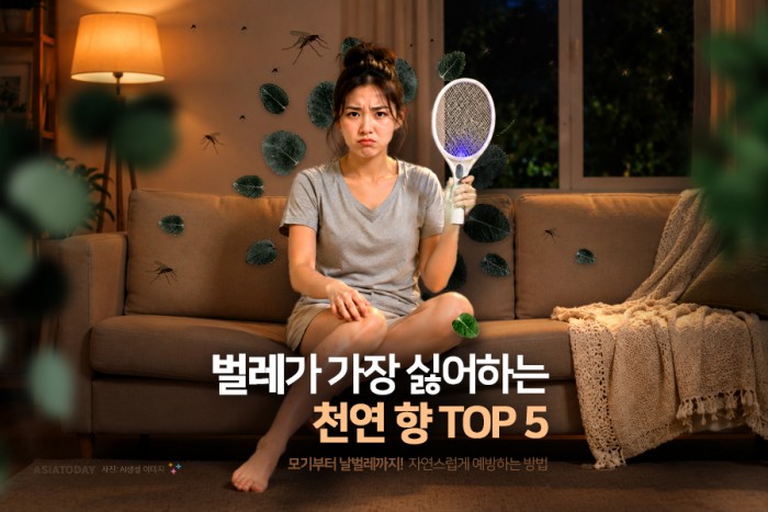 카드 뉴스 이미지
