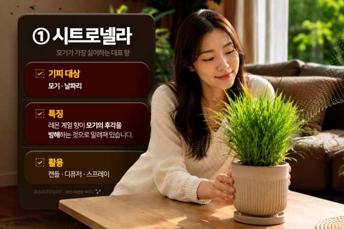 카드 뉴스 이미지
