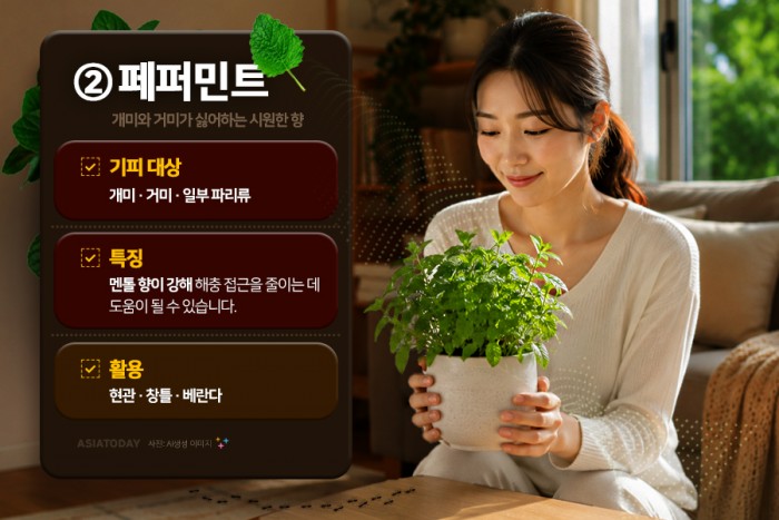 카드 뉴스 이미지