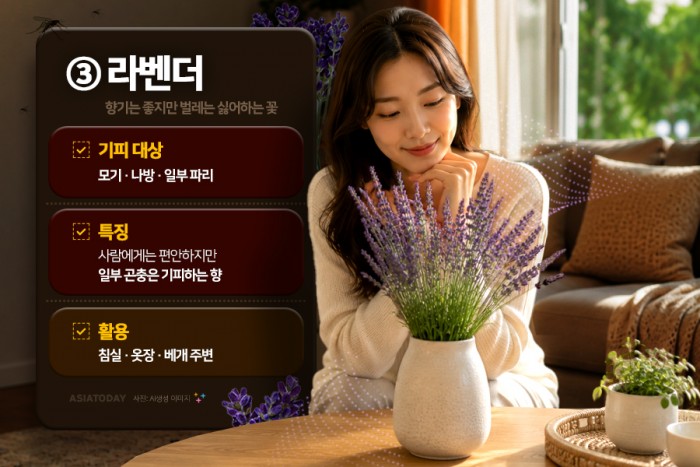 카드 뉴스 이미지