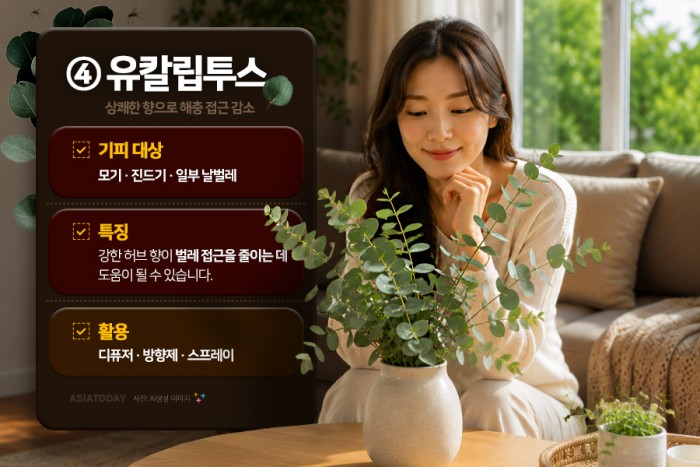 카드 뉴스 이미지