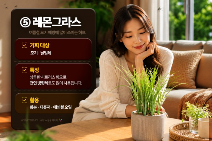 카드 뉴스 이미지
