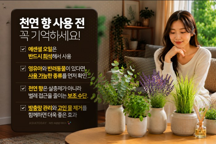 카드 뉴스 이미지
