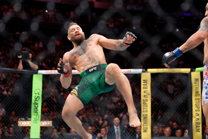 UFC 329