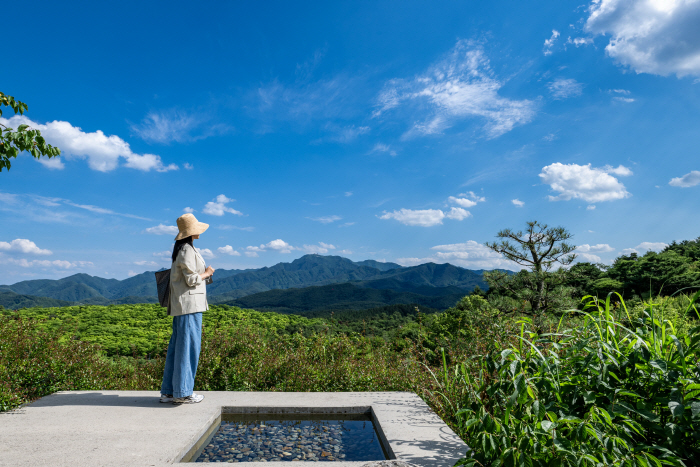 대구_사유원_20260611_053_resize