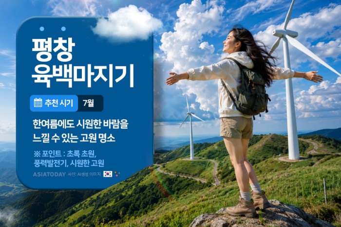카드 뉴스 이미지